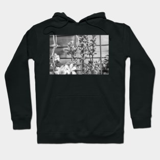 Garden flowers Hoodie